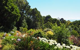 Murrindindi